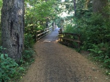 Bike trail bridge